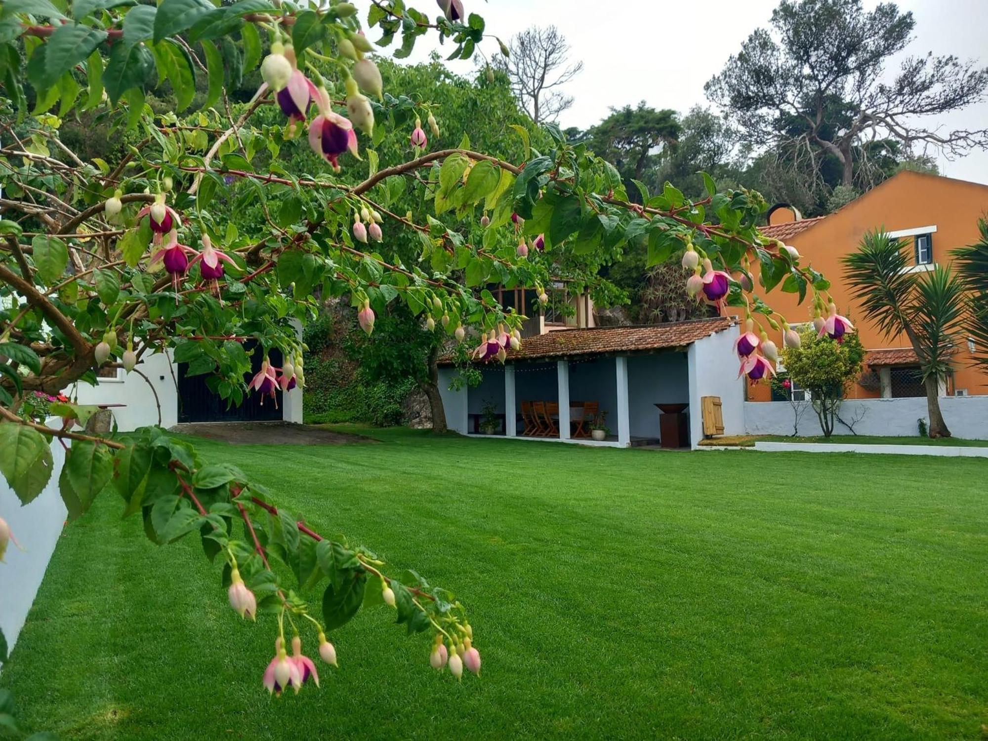 Villa in Sintra - Casa da Penha Ferrim Bagian luar foto